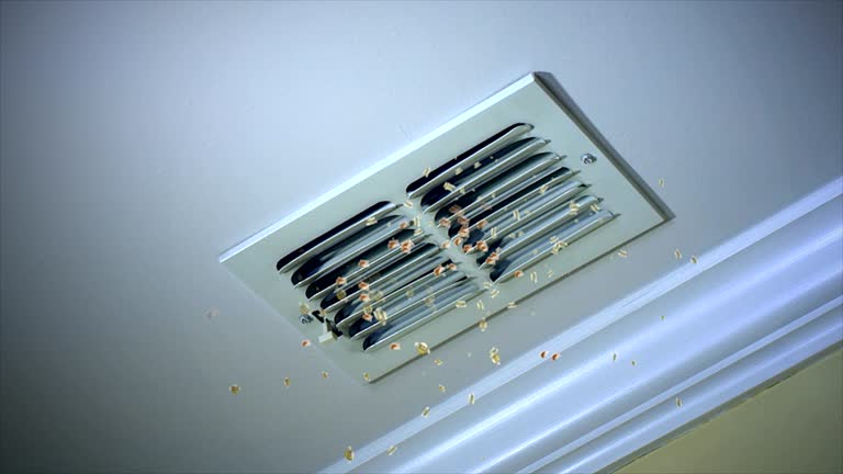 Best Air Duct Cleaning Company Near Me  in Cape May, NJ